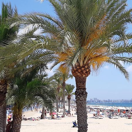 Wonderful Apartment In The Center By The Sea Alicante Extérieur photo